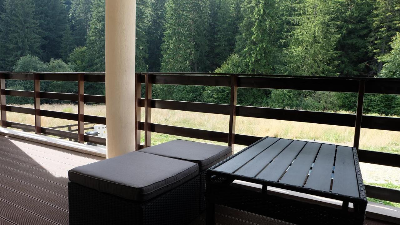 Poiana Ski Residence Apartment 5 ポイアナ・ブラショフ エクステリア 写真